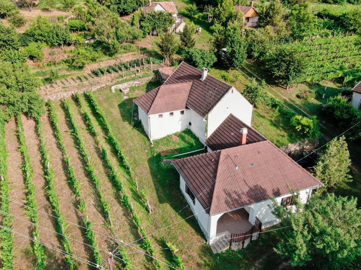 Hillside Vendeghaz A Szent Gyoergy-Hegyen Villa Raposka Exterior photo